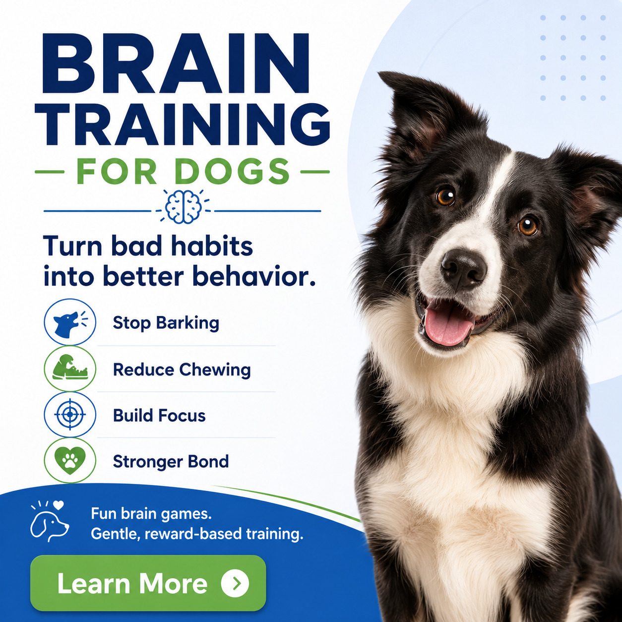 Train Your Dog at Home: Fun Brain Games to Improve Obedience, Focus & Behavior thumbnail 8