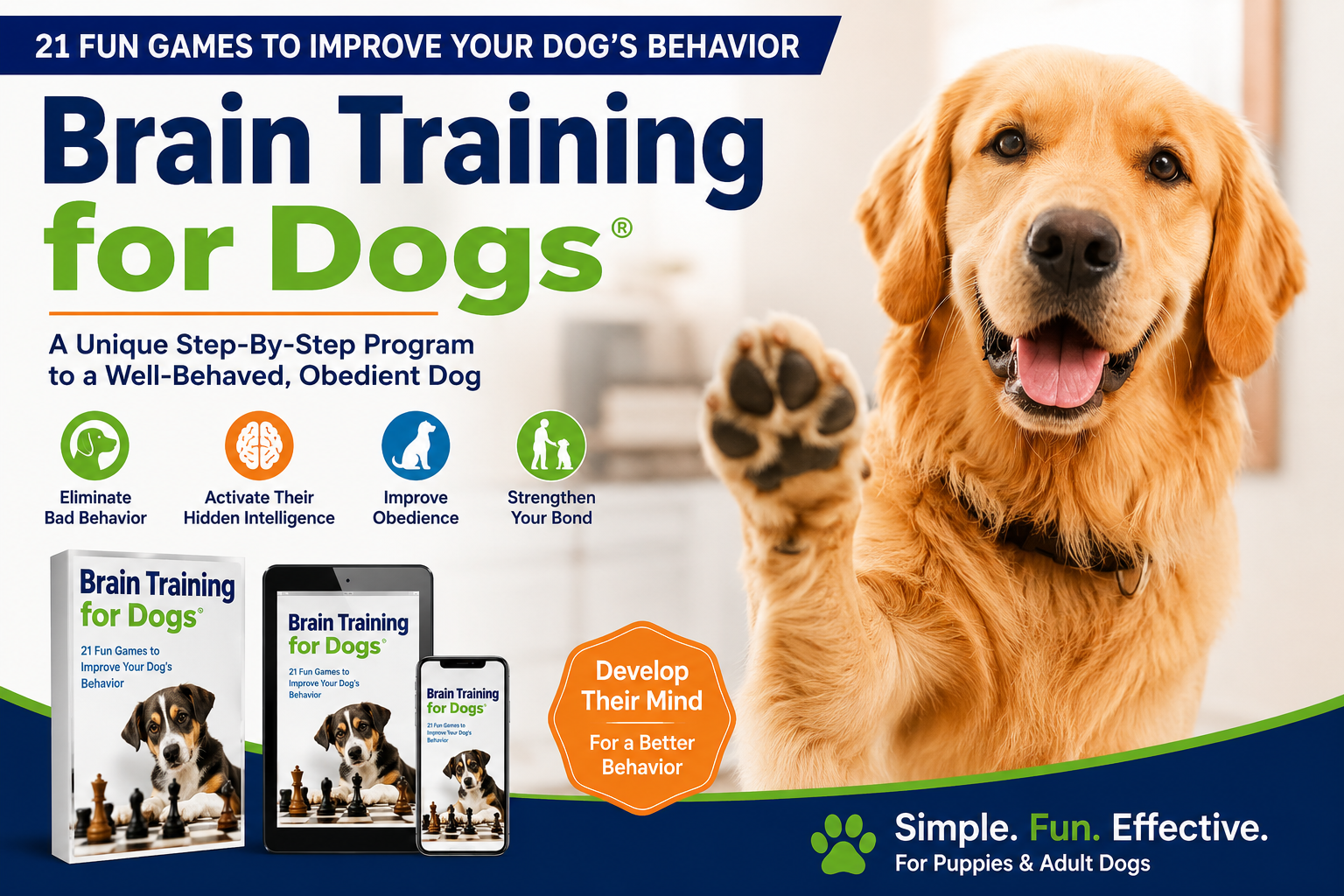 Train Your Dog at Home: Fun Brain Games to Improve Obedience, Focus & Behavior thumbnail 5