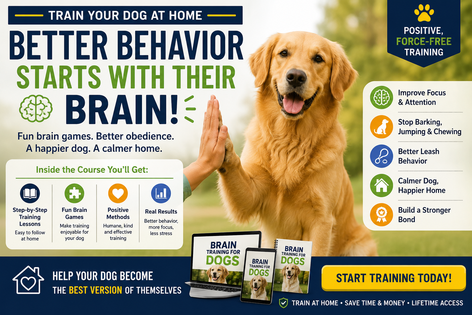 Train Your Dog at Home: Fun Brain Games to Improve Obedience, Focus & Behavior thumbnail 7