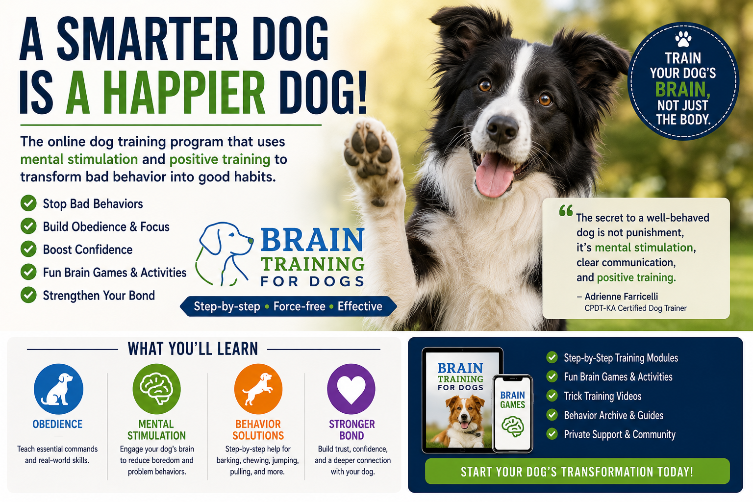 Train Your Dog at Home: Fun Brain Games to Improve Obedience, Focus & Behavior thumbnail 9